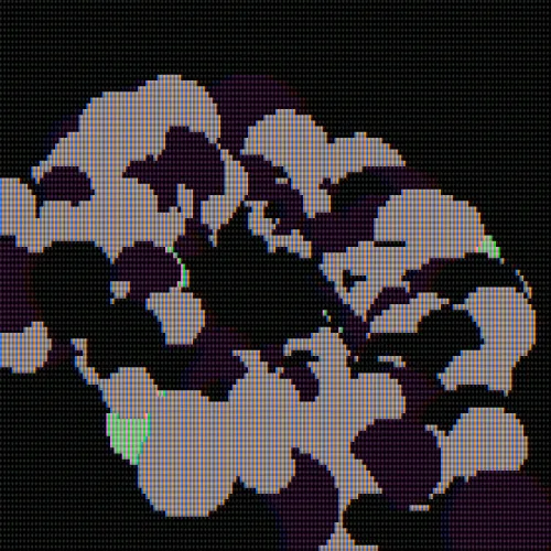 Digital Souls #1004