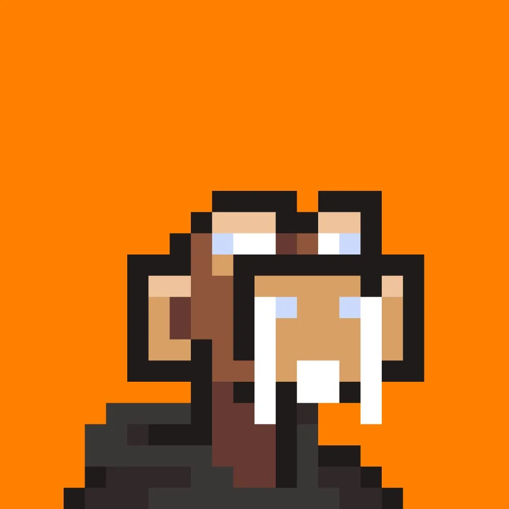Sol Monke #13