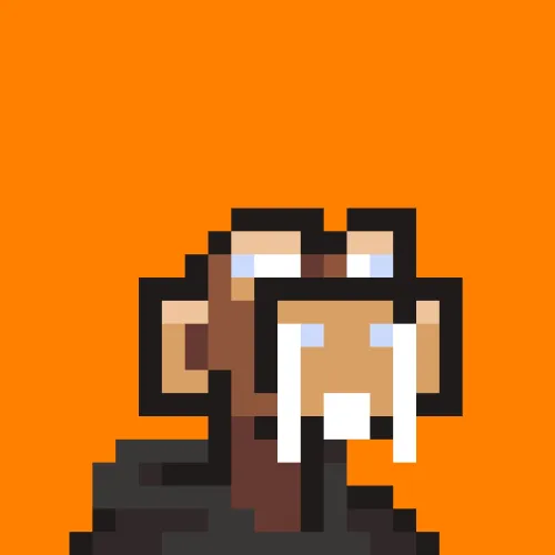 Sol Monke #13