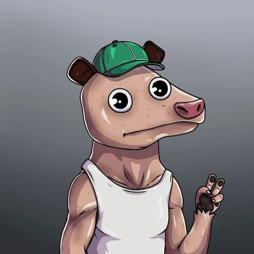 WTF Opossum #453