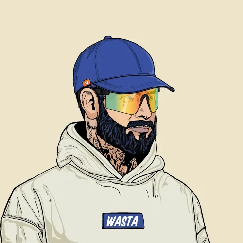 Wasta Corp #517