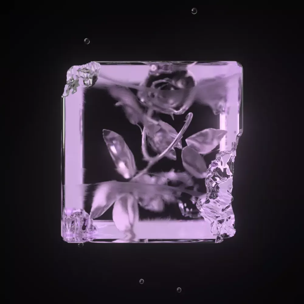FVCK_CRYSTAL// #2825