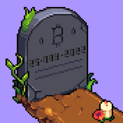 Bitcoin Burial ＃6959 （Inscription ＃11371492）