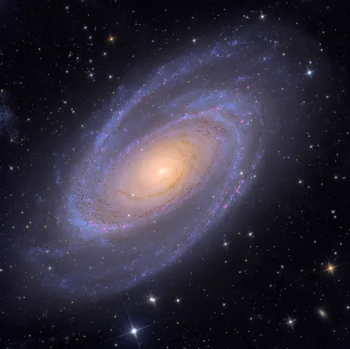 Messier 81 (Bode's Galaxy) #81