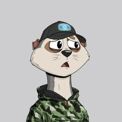 Worried Meerkat #474