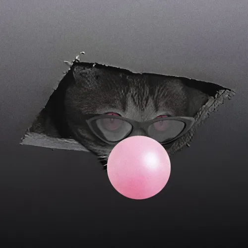 CEILING CAT #630