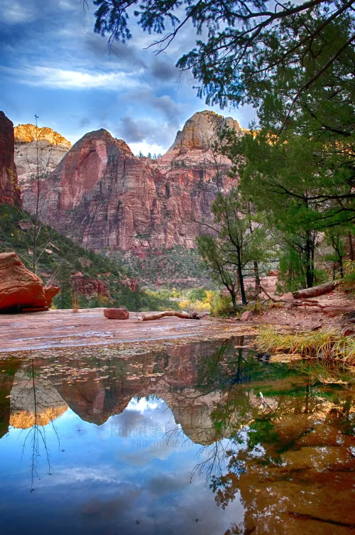 Lower Emerald Pool Reflection- Zion National Pakr #5