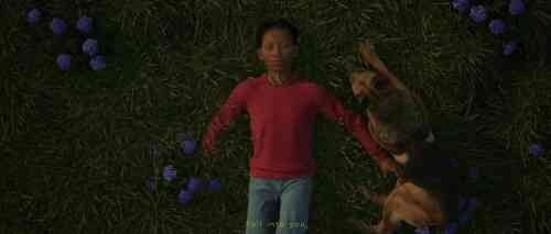 WildestDreams #85312