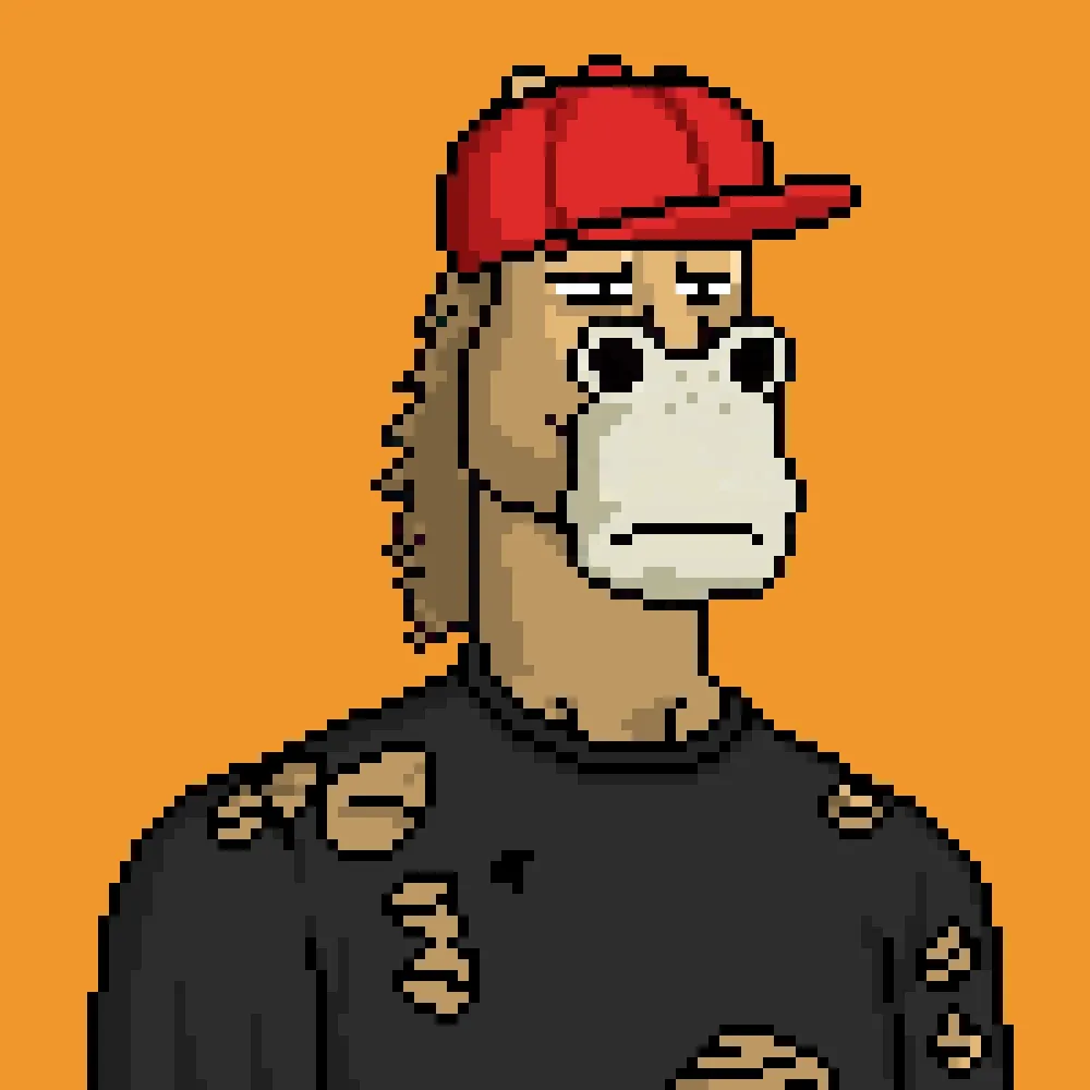 Horse Club #551