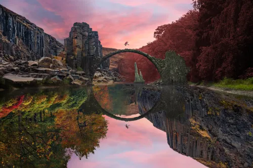 Reflection #563