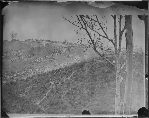 Camp of Confederate Prisoners at Belle Plain, VA #190