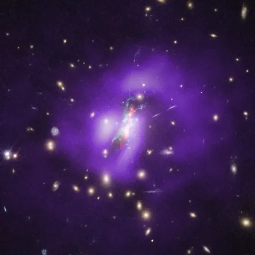 The Phoenix Galaxy Cluster, Close View #22