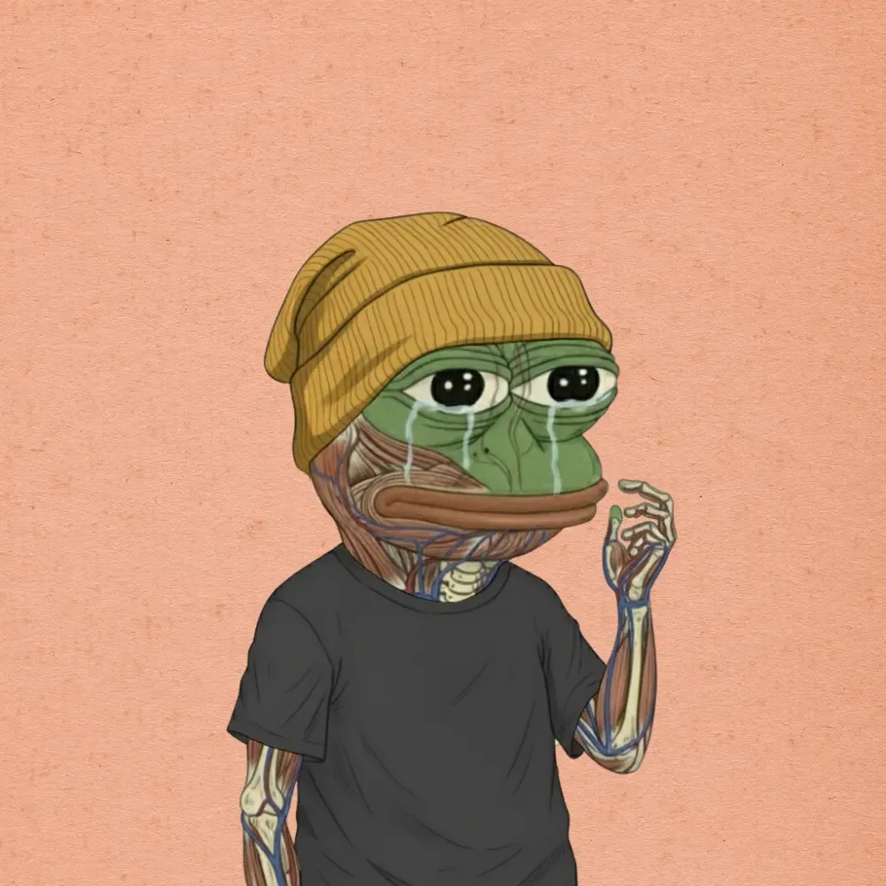 The Anatomy of Pepe #1575