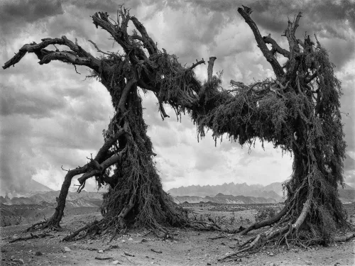 Iñigo Bilbao - The Dead Valley #011