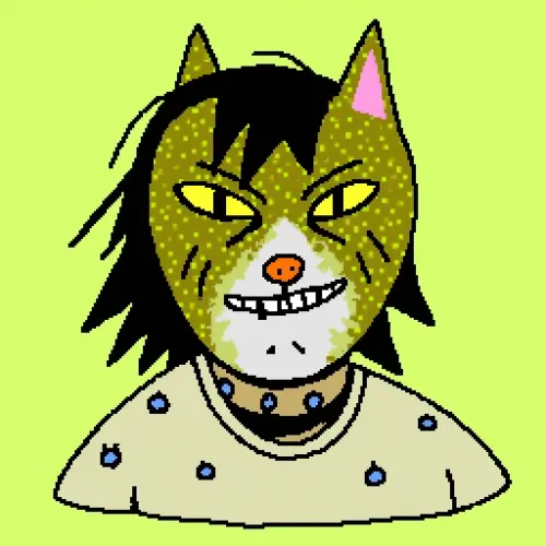 PunkRacer51 #325