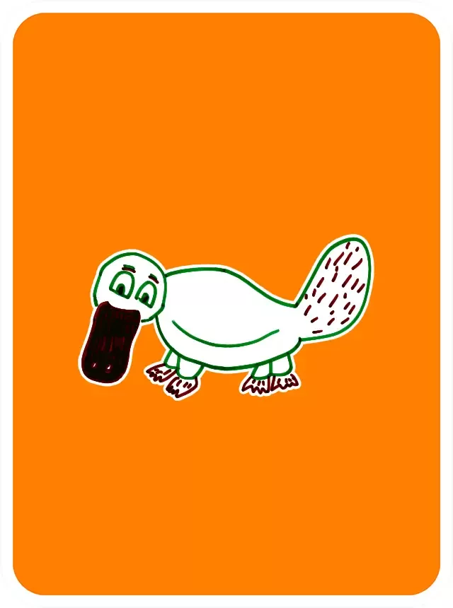 PleasantPlatypus #7262