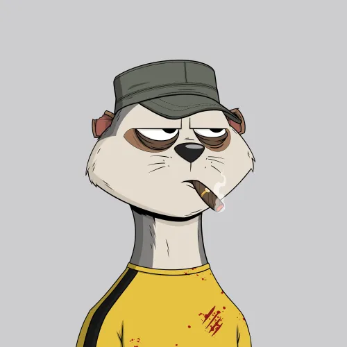 Worried Meerkat #595