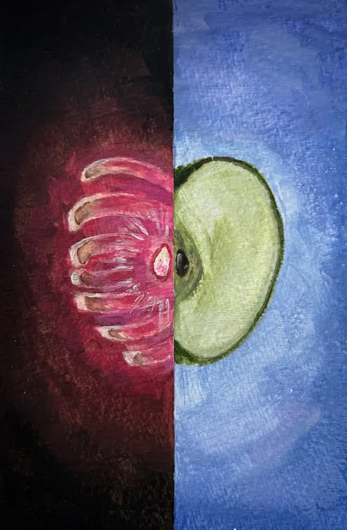 The seed of life #4