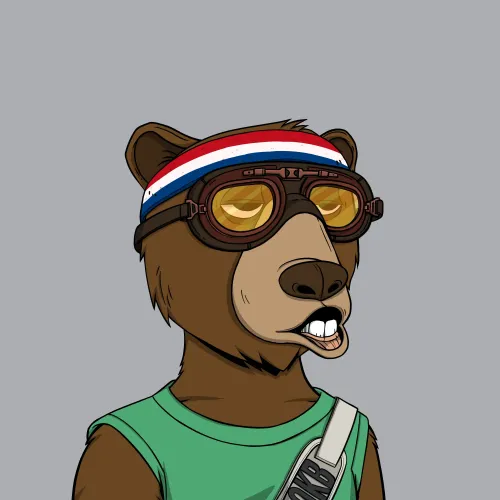 Okay Bear #742