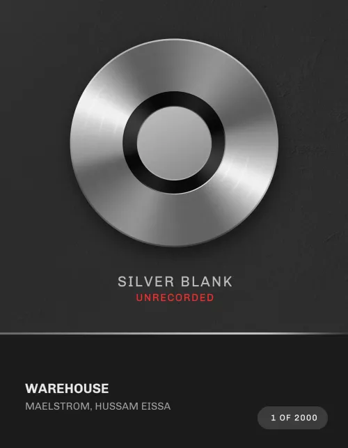 Warehouse Silver Blank #2275002