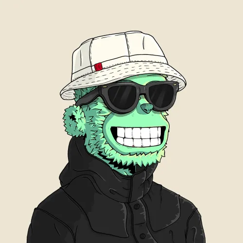 y00t #14842