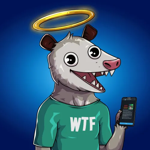 WTF Opossum #613