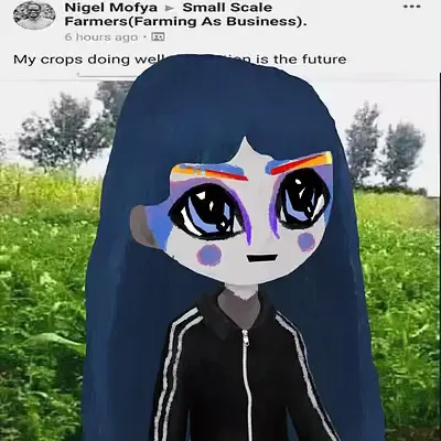 RTFIV#30