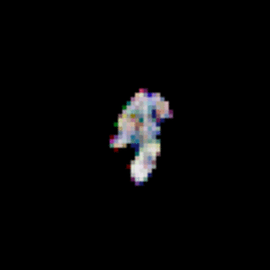 Hhëkt'j #335