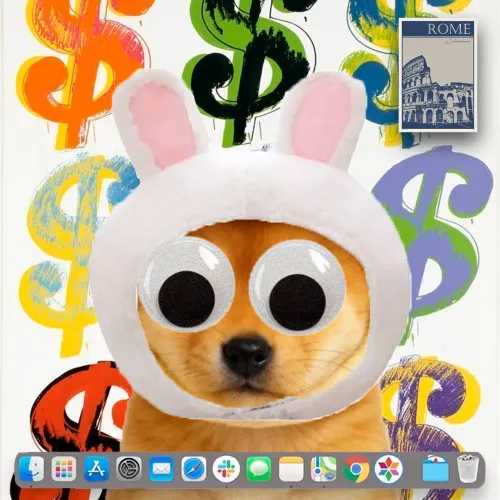 INU #260