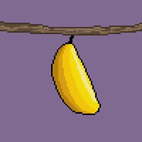 2559