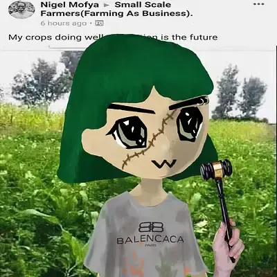 RTFIV#81