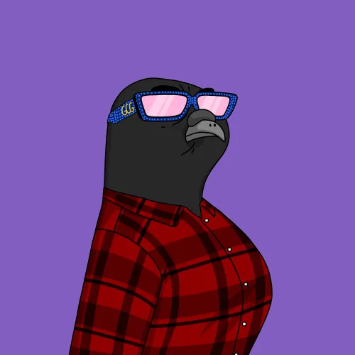 GutterPigeon #984