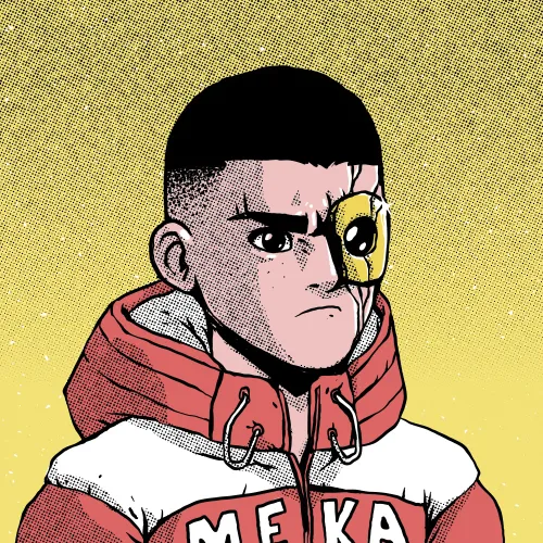 MEKA #48