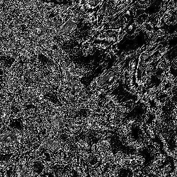 Noise #950