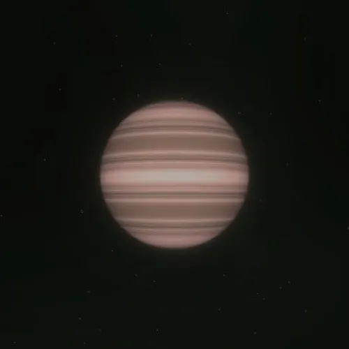 D02P0123 (#93872633)