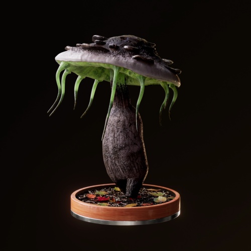 Fungi #7754