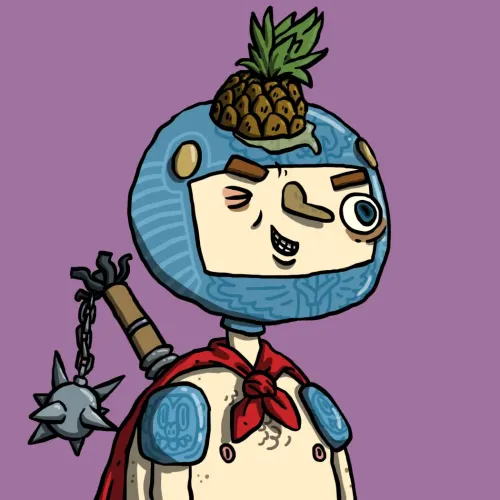 Ninja #3065