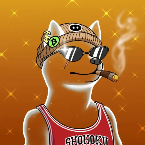 SOLDOGE #86