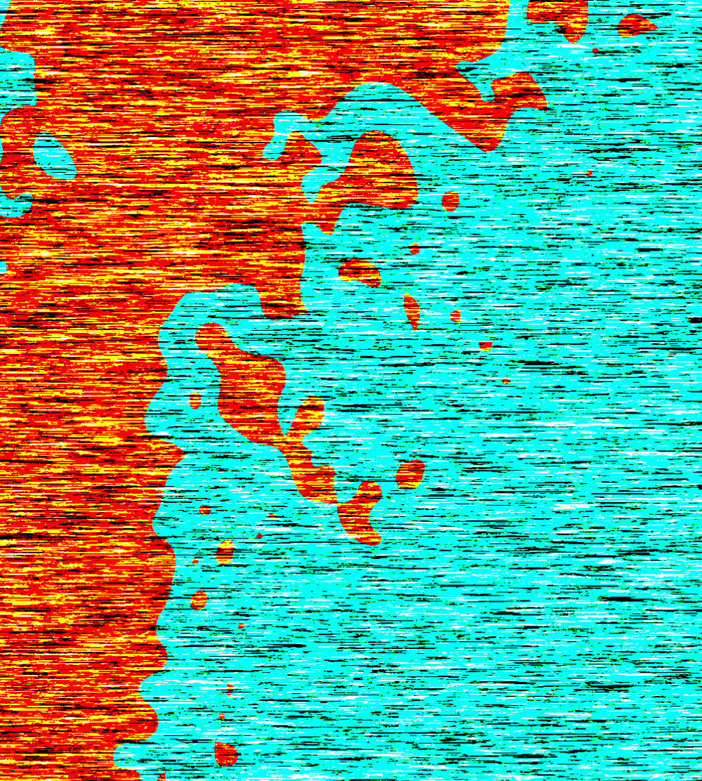 DOLPHiNZ #52524