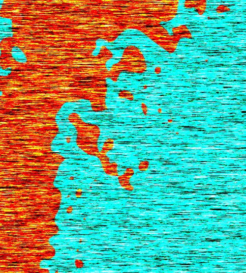 DOLPHiNZ #52524