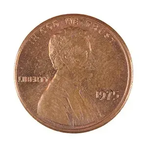 #65909254