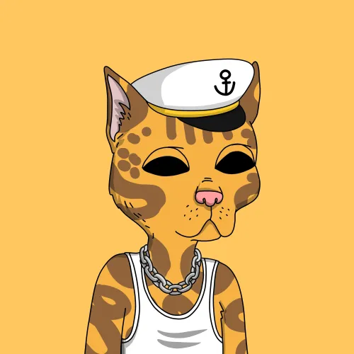 Gutter Cat #2061