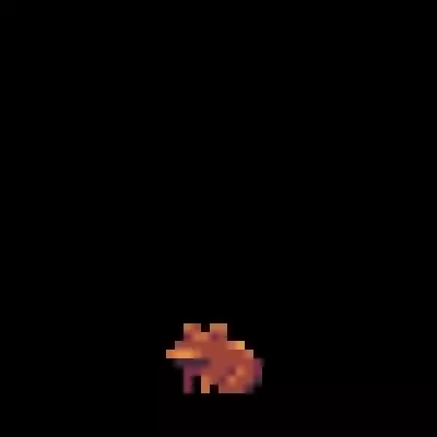 Chocolate Toad #35