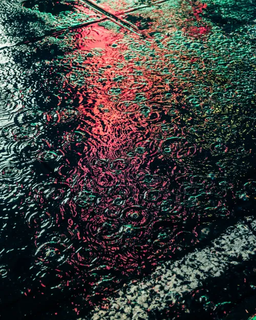 DRIP  #692