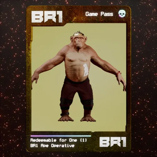 BR1 Character #1637