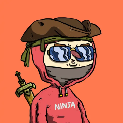 Ninja #6498