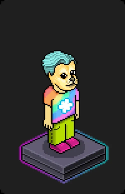 Habbo Crafted Avatar #1247