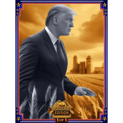 Trump Bitcoin Card #69 (#70354855)