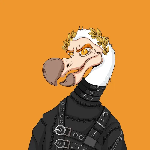 DoDo #2096