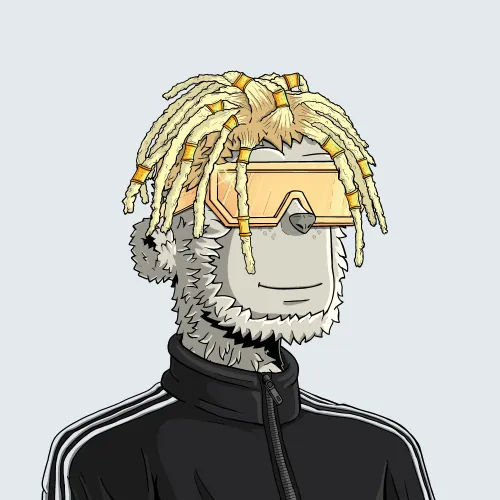 y00t #7909